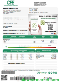 Federal Electricity Commission (CFE) utility bill SCR page 1